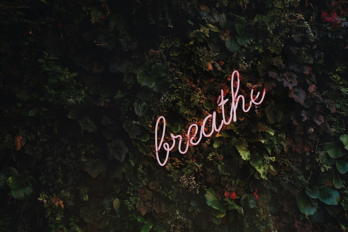 The Science of Productivity and Happiness